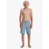 Quiksilver Boys’ Quiksilver Boy’s Taxer Amphibian 17 Hybrid Short(Cadet Gray 241)
