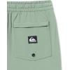 Quiksilver Boys’ Quiksilver Boy’s Taxer Amphibian 17 Hybrid Short(Sea Spray 241)