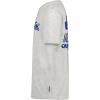Quiksilver Boys’ Short Sleeve Logo Graphic T-Shirt, Soft & Comfortable, Regular Fit(Grey Logo Walker)