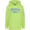 Quiksilver Boys’ Pullover Hoodie Sweatshirt, Soft & Comfortable Fleece, Front Pocket(Green Lightning)