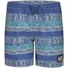 Quiksilver Boys Surfsilk Global Volley (Little Kids)(Blue)