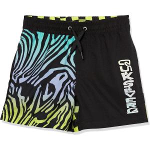 Quiksilver Boys Radical Time Youth 14nb Elastic Waist Volley Swim Trunk Bathing Suit(Safety Yellow)