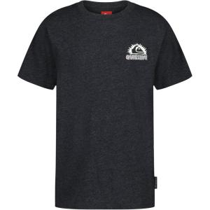 Quiksilver Boys’ Short Sleeve Logo Graphic T-Shirt, Soft & Comfortable, Regular Fit(Black Wizard)