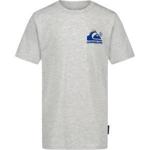 Quiksilver Boys’ Short Sleeve Logo Graphic T-Shirt, Soft & Comfortable, Regular Fit(Grey Logo Walker)