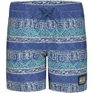 Quiksilver Boys Surfsilk Global Volley (Little Kids)(Blue)
