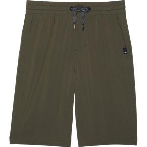 Quiksilver Ocean Elastic Boy 14 Hybrid Amphibian Water Friendly Shorts(Grape Leaf)