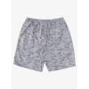 Quiksilver Men’s Men’s Marlin Jig Volley Swim Trunk Boardshort(Sharkskin Marlin Vy)