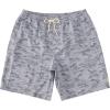 Quiksilver Men’s Men’s Marlin Jig Volley Swim Trunk Boardshort(Sharkskin Marlin Vy)