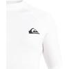 Quiksilver Men’s Everyday Upf50 Short Sleeve Rashguard(Bright White)