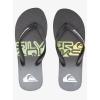 Quiksilver mens Flip Flop(Black/Green)