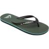 Quiksilver mens Flip Flop(Black Green Blue)