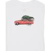 Quiksilver Boys Boy’s Holidaaayz Tee Shirt(White 234)