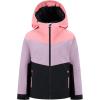 Quiksilver Girls’ Heavyweight Ski Snow Hooded Jacket, Insulated & Waterproof(Black Haven)