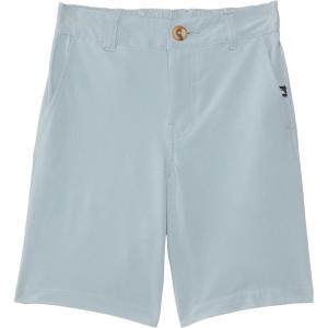 Quiksilver Boys’ Quiksilver Boy’s Union Amphibian 13 Hybrid Shorts(Quarry 241)