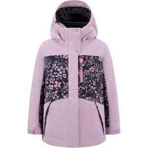 Quiksilver Girls’ Heavyweight Ski Snow Hooded Jacket, Insulated & Waterproof(Discreet Mauve)