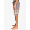 Quiksilver Men’s Men’s Surfsilk Massive 20 Boardshort Swim Trunk(Wheat)