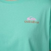 Quiksilver Women’s Women’s Surf Sun Smile Cropped Boyfriend T-Shirt(Surf Green)