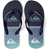 Quiksilver Boys Boy’s Molokai Art Flip Flop Youth(Blue/Blue/White 233)