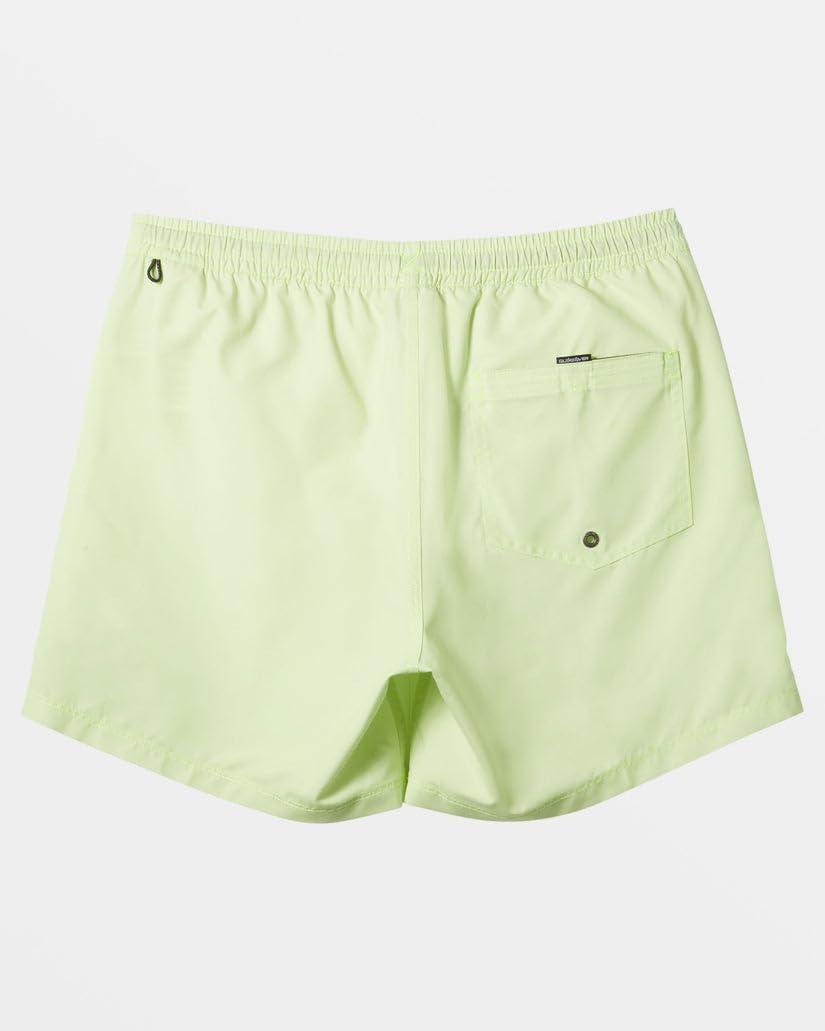 image:imageQuiksilver Mens Everyday Solid Volley 15 Swim TrunkShadow Lime